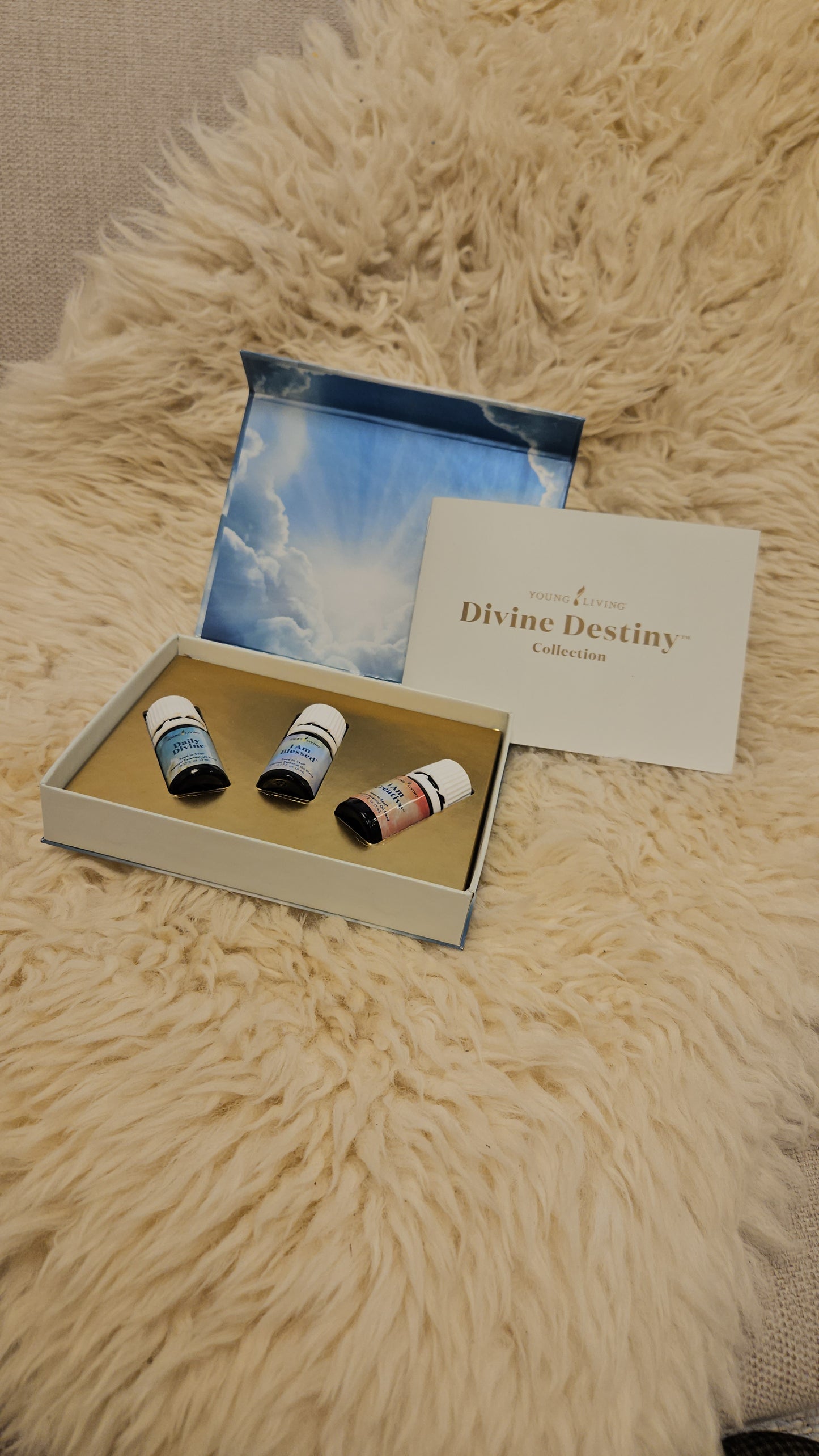 Divine Destiny Collection