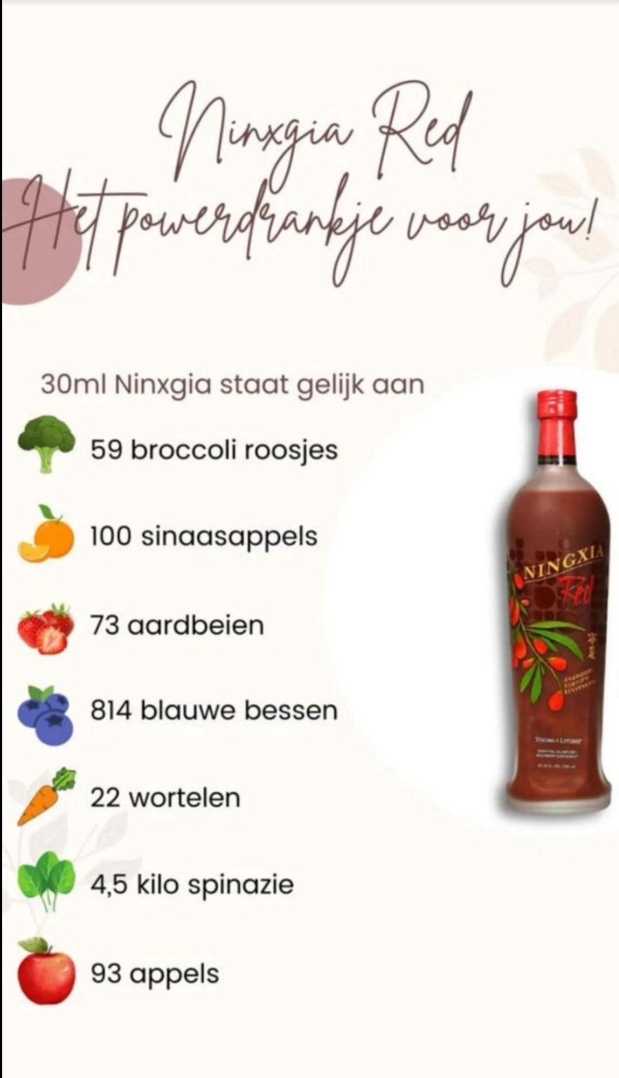 4 ZAKJES NINGXIA RED
